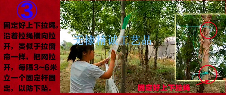 籐網